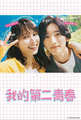 seo排名优化微首选金手指23